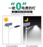 按造型来分路灯有中华灯